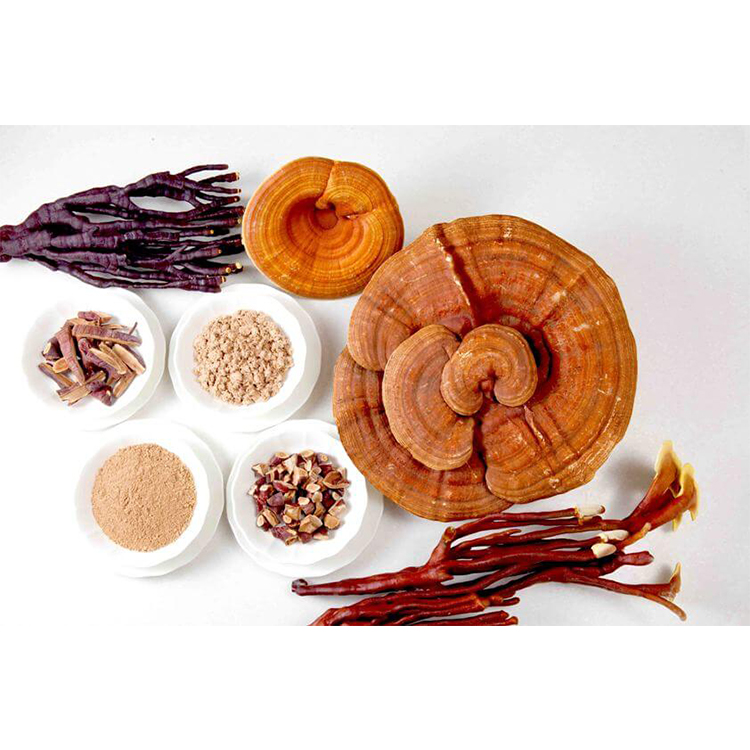 Organic Mushroom Extracts|Organic Reishi Extract Powder|puremushroomextract.com